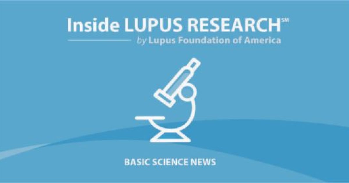 new research on lupus